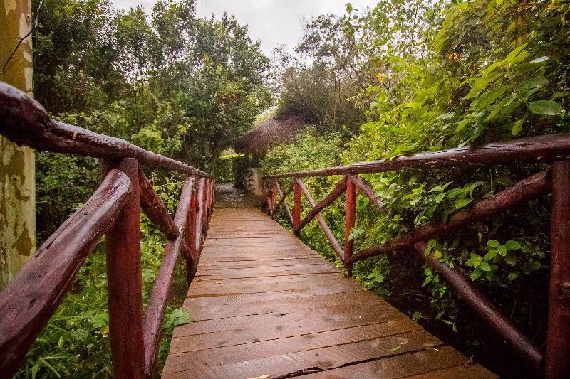 Dove Nest Lodge Naivasha Esterno foto